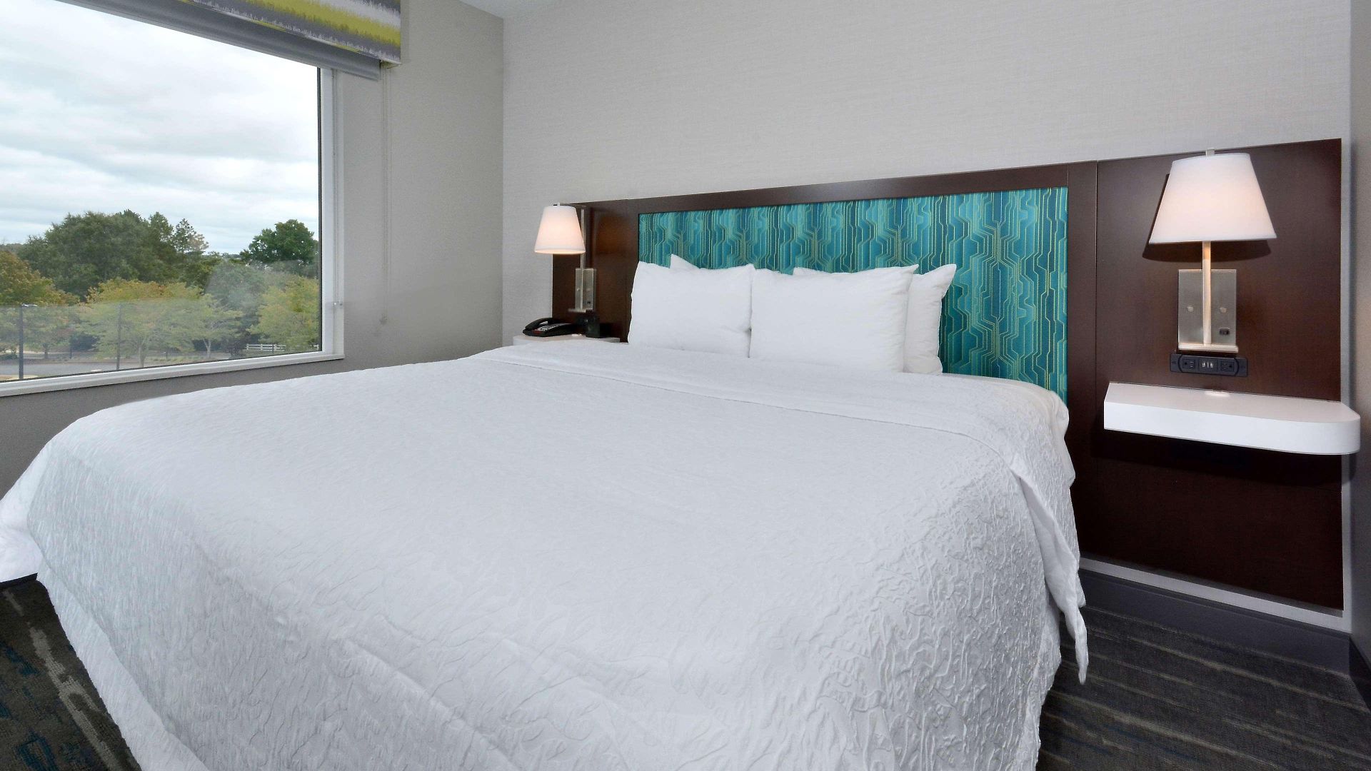 Hotel Hampton & North I 485