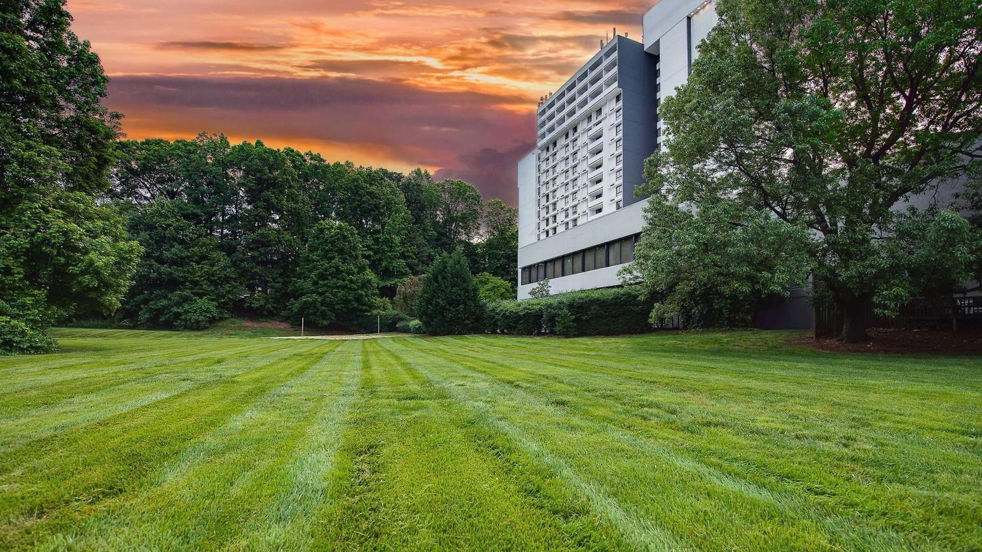 Sonesta Lower South End Charlotte