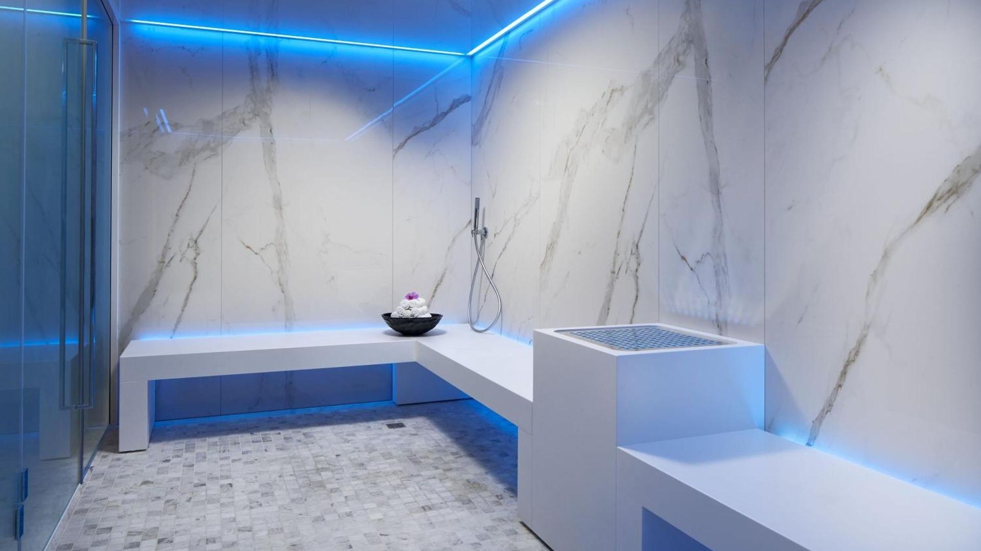 Hotel The Ritz-carlton,