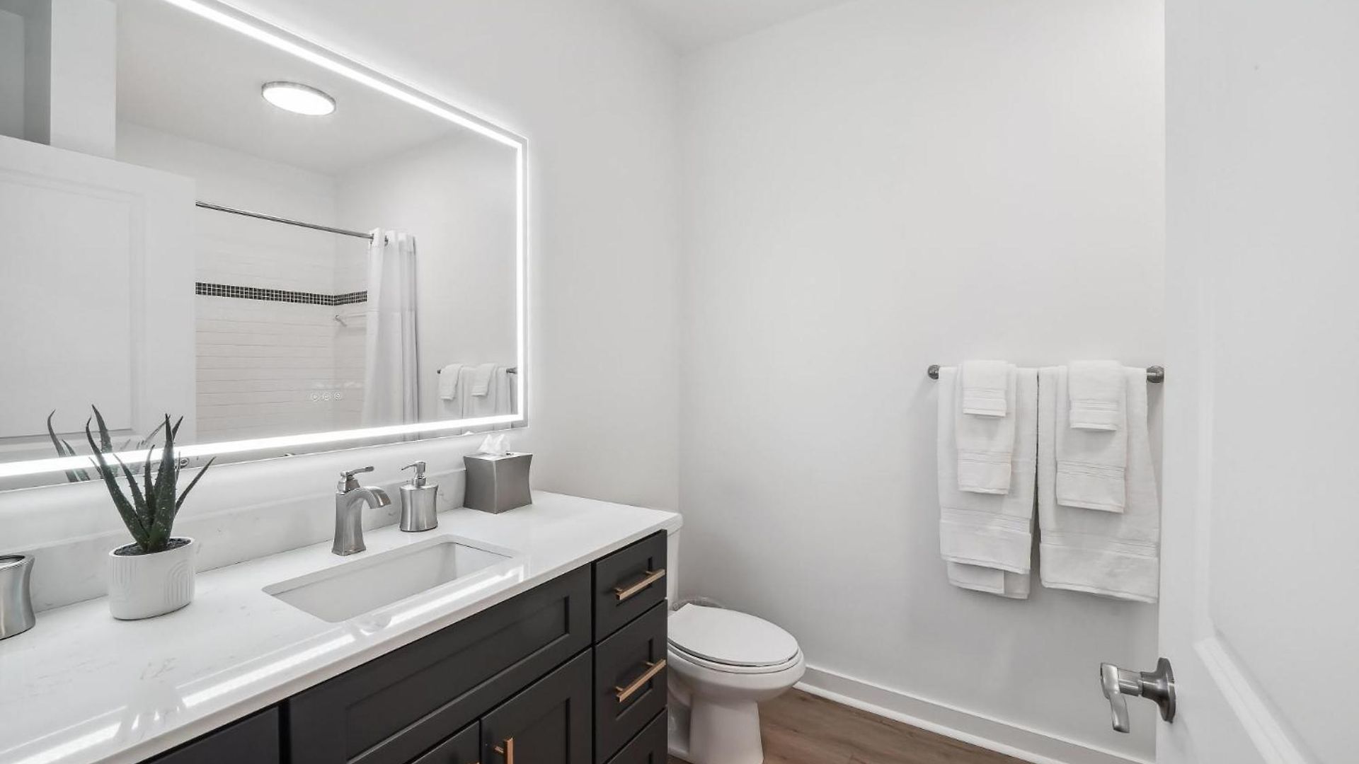 Apartment Premium And At Midtown 205 In Charlotte