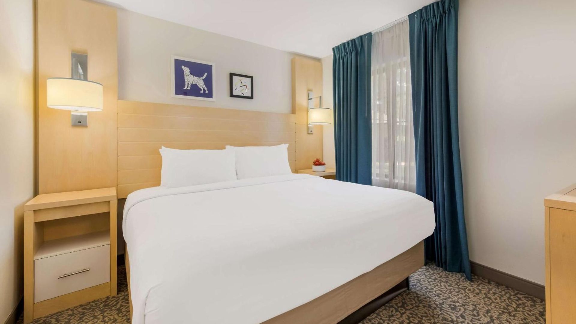 Sonesta Es Arrowood Hotel Charlotte