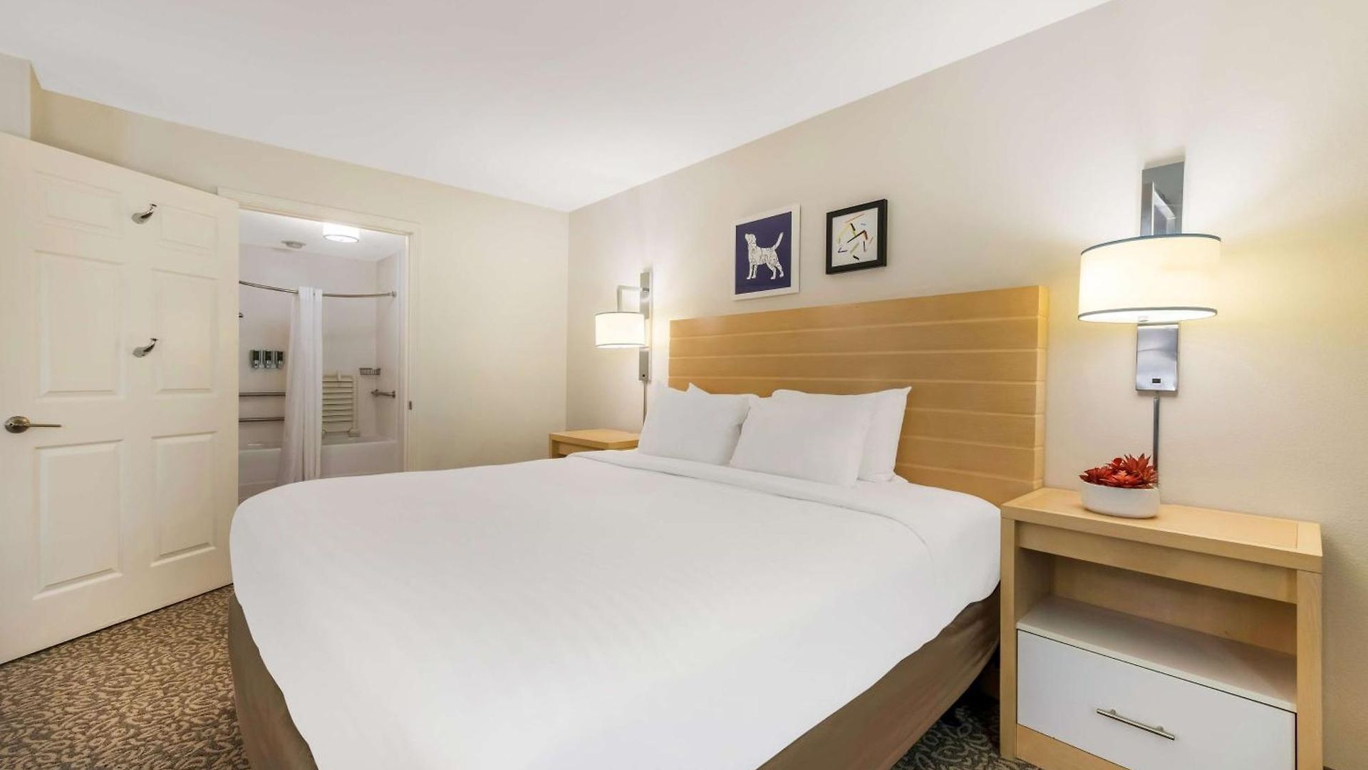 Hotel Sonesta Es Arrowood Charlotte