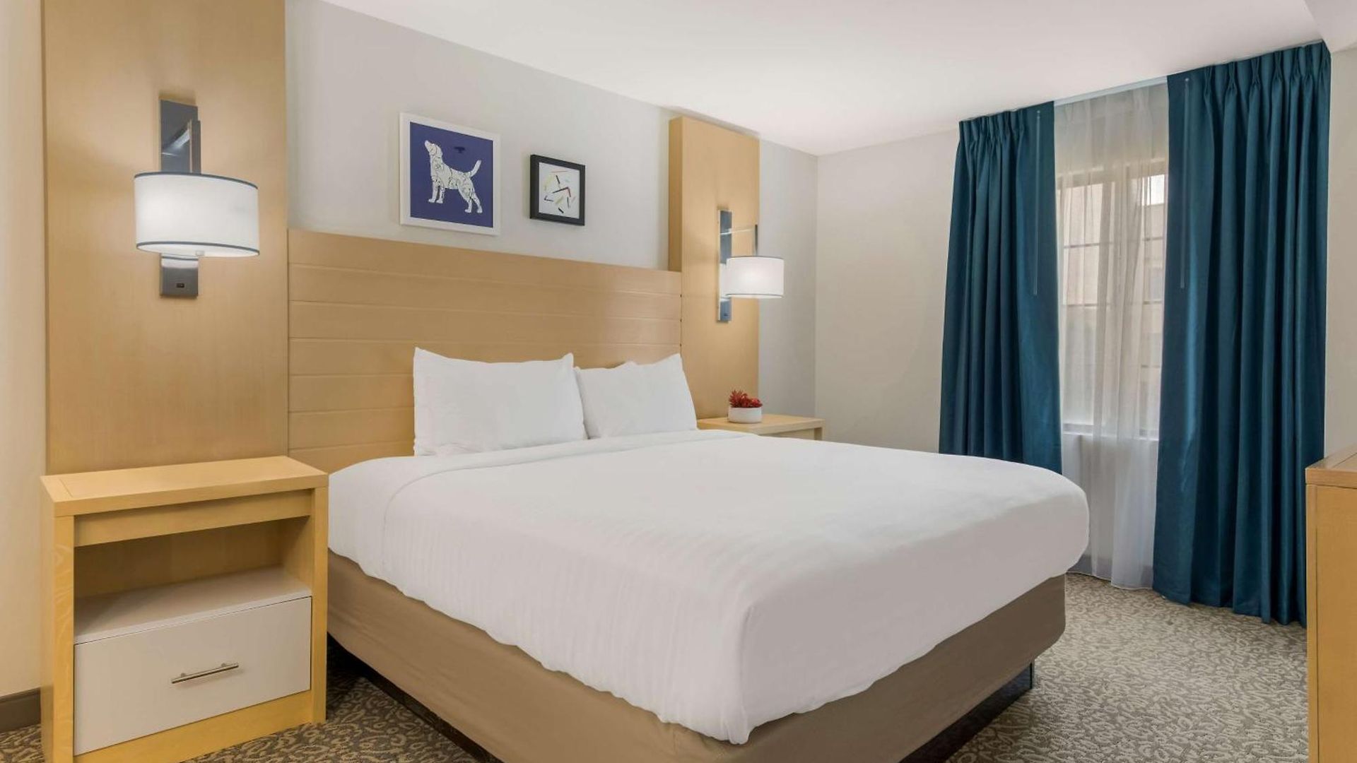 Hotel Sonesta Es Arrowood Charlotte