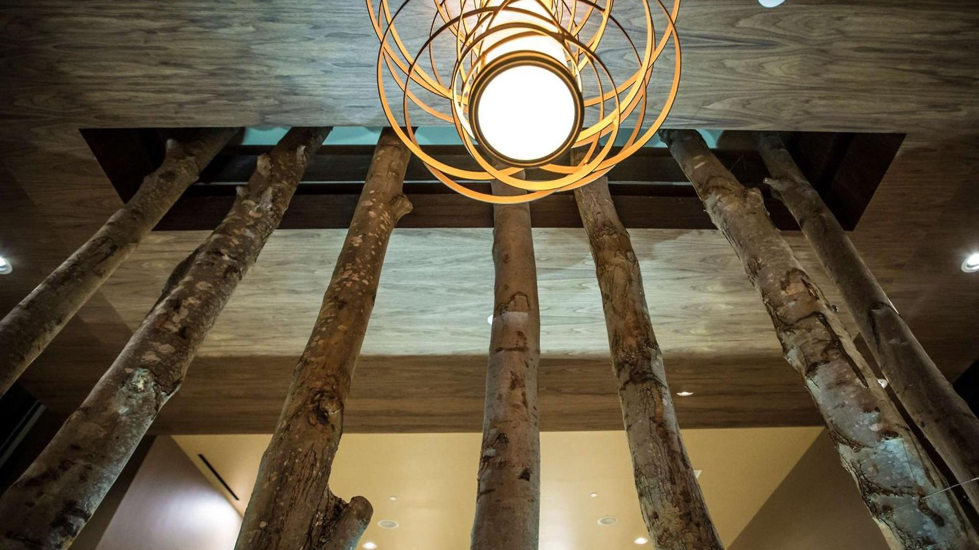 Hotel Homewood By Hilton Ballantyne, Nc