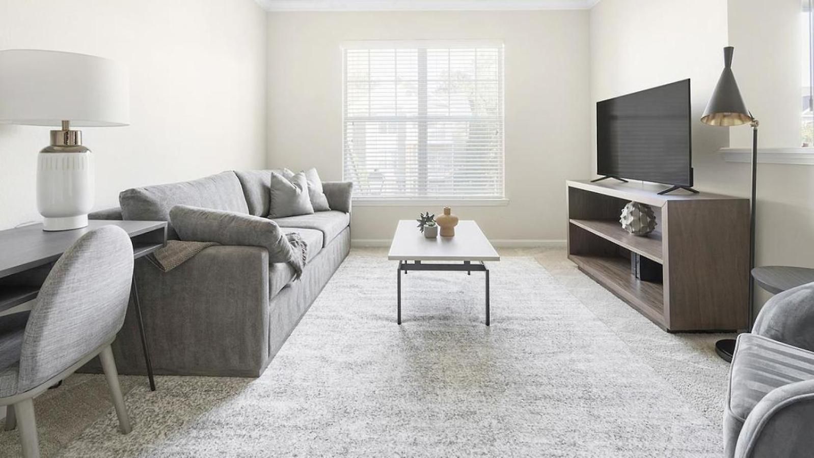 Landing Modern With Amazing Amenities Apartment Charlotte