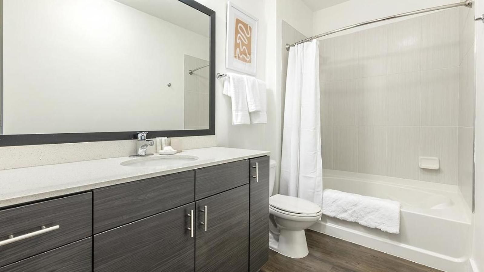 Landing Modern With Amazing Amenities Apartment Charlotte