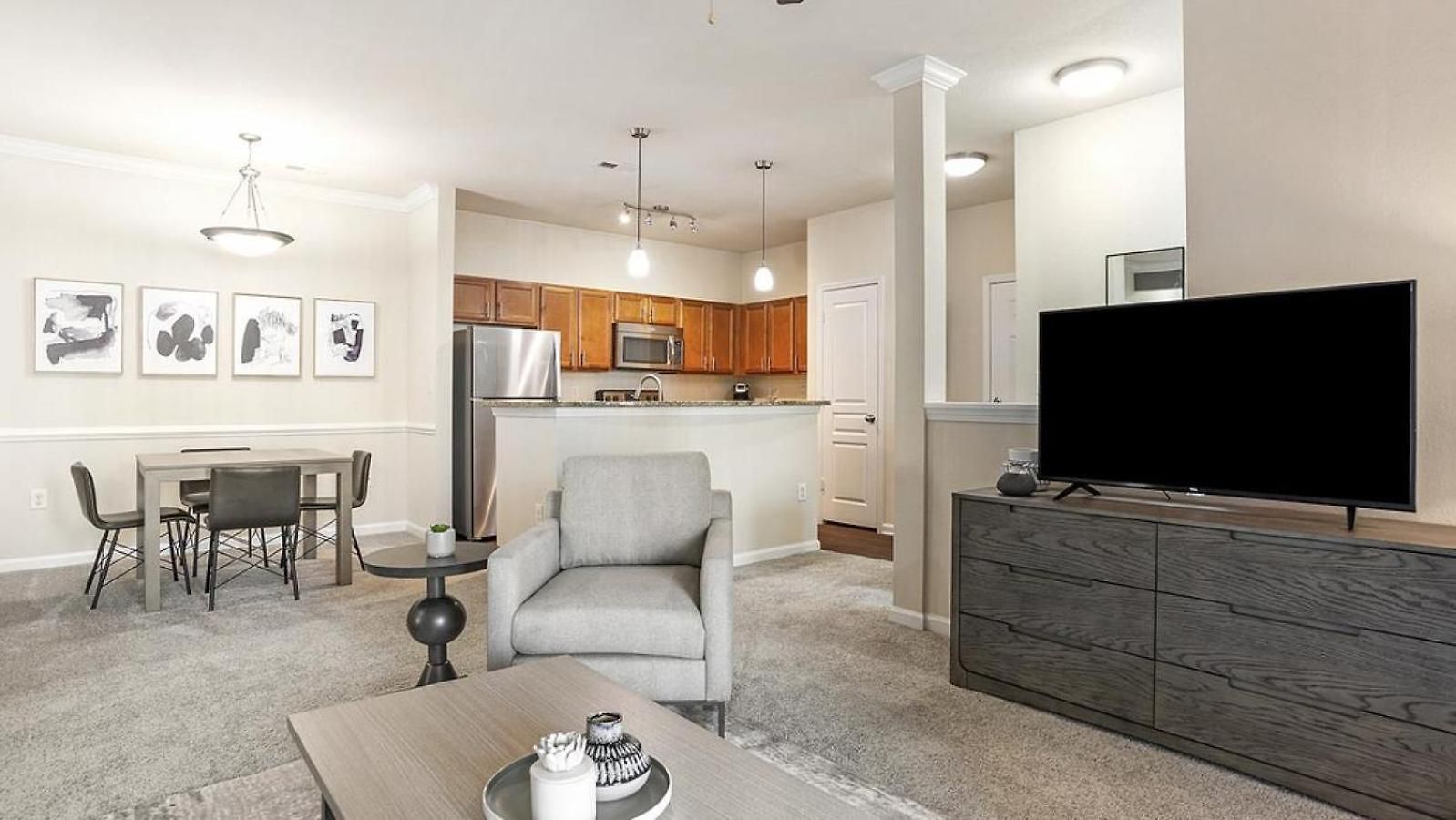 Apartment Landing Modern With Amazing Amenities Charlotte