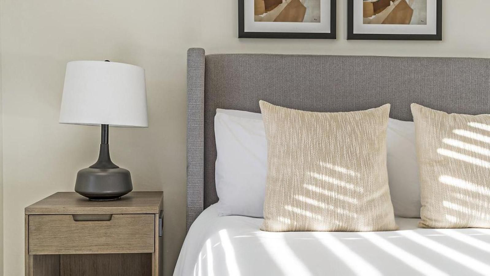 Apartment Landing Modern With Amazing Amenities