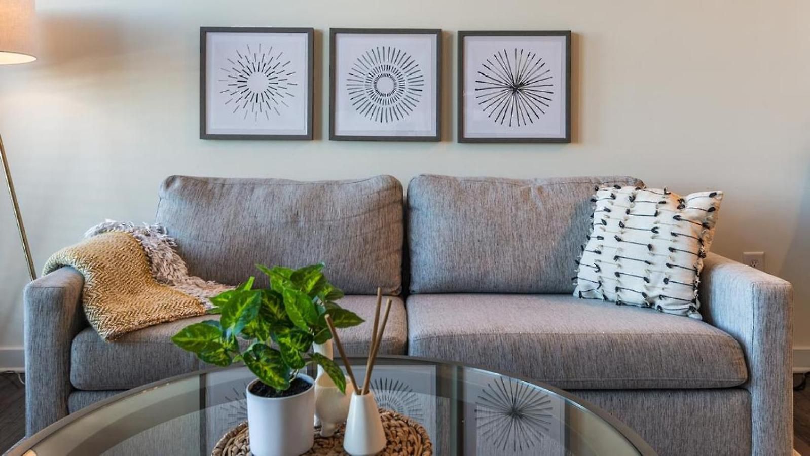 Landing Modern With Amazing Amenities Apartment Charlotte