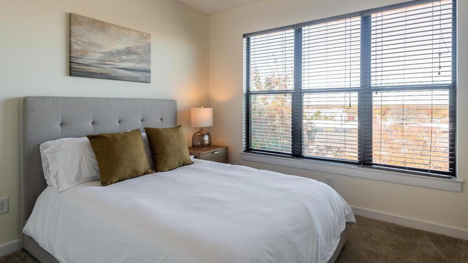 Landing Modern With Amazing Amenities Apartment Charlotte