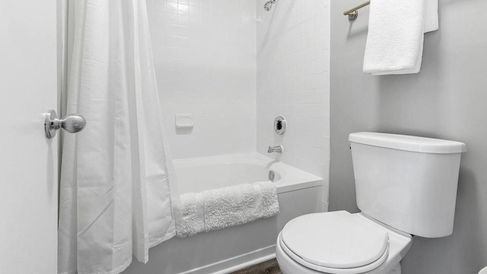 Landing Modern With Amazing Amenities Apartment Charlotte