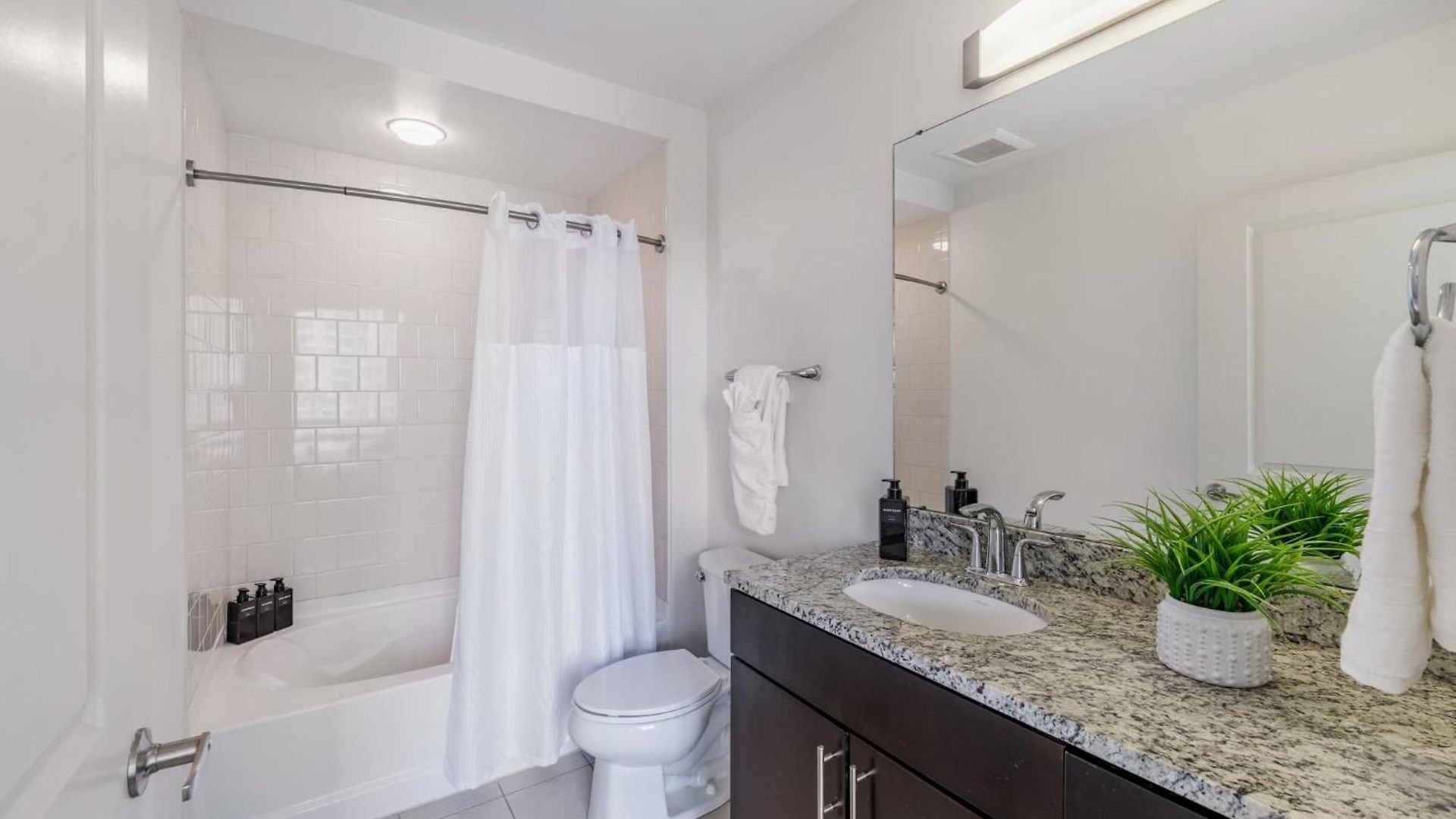 The Ascher In Apartment Charlotte