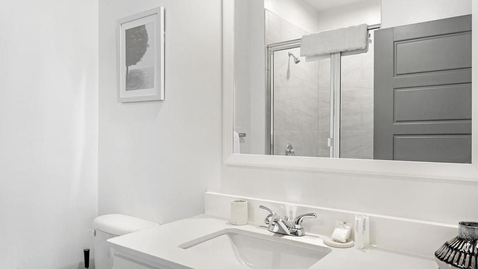 Landing Modern With Amazing Amenities Apartment Charlotte