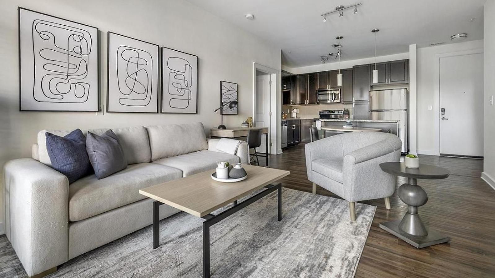 Apartment Landing Modern With Amazing Amenities Charlotte