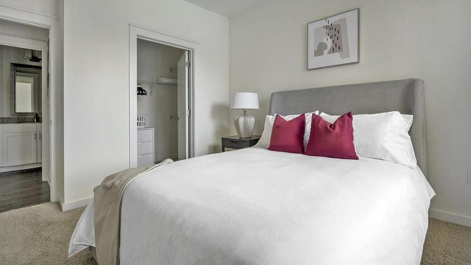 Landing Modern With Amazing Amenities Apartment Charlotte