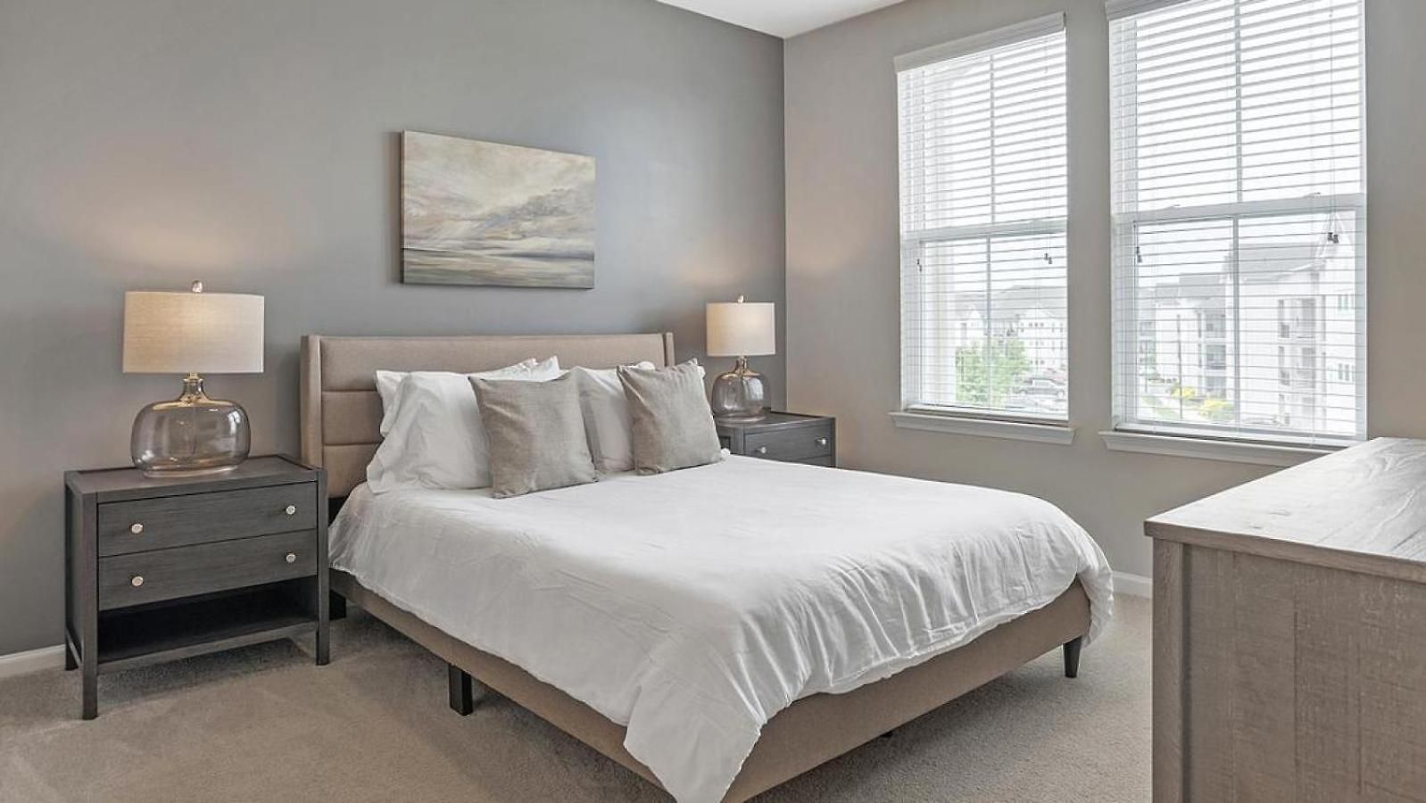 Landing Modern With Amazing Amenities Apartment Charlotte