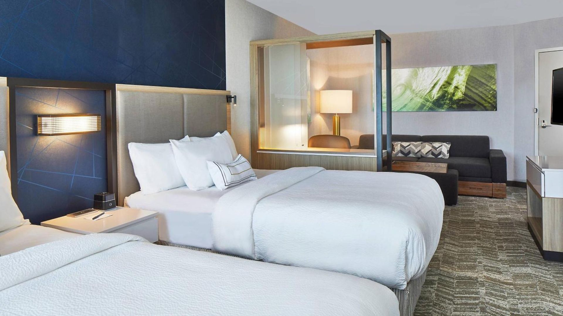 Hotel Springhill By Marriott At Carowinds Charlotte