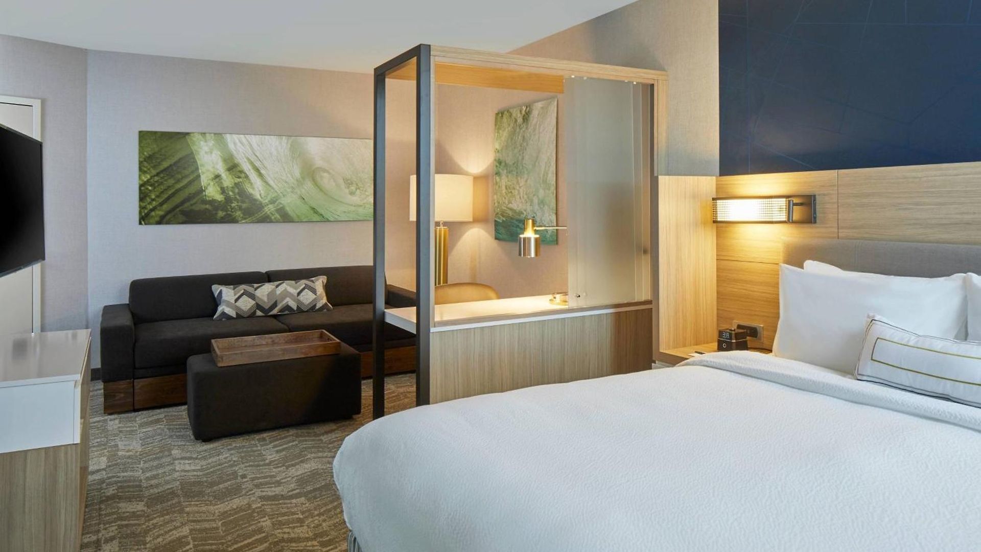 Hotel Springhill By Marriott At Carowinds