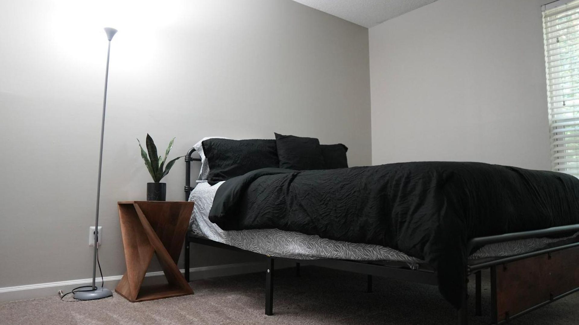 Luxury & Convenience In South End Apartment