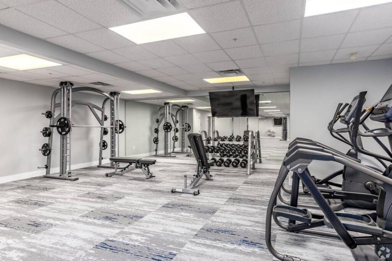 The Tar Heel - Stylish 4br With Views - Free Parking - Gym Apartment *