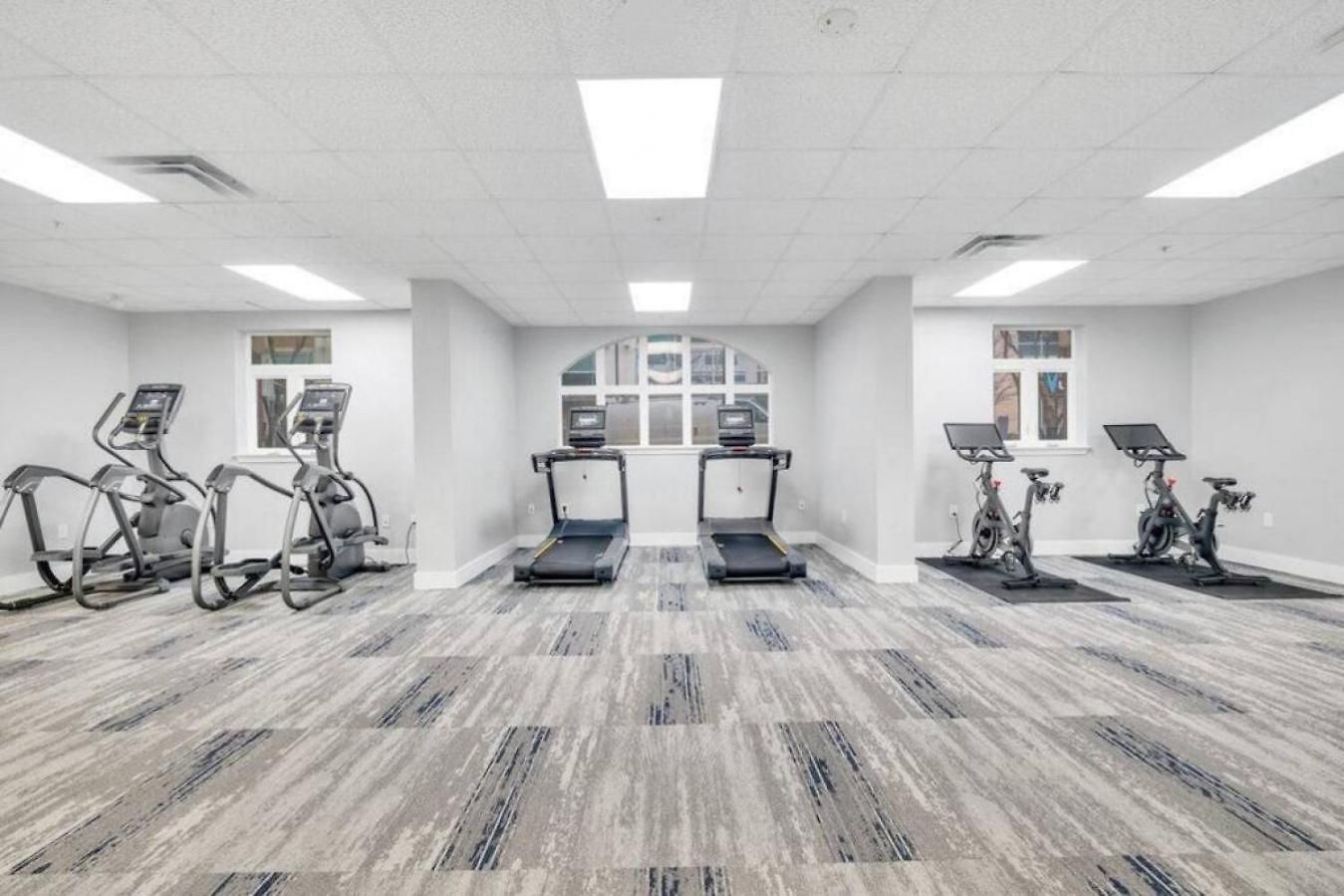 Apartment The Tar Heel - Stylish 4br With Views - Free Parking - Gym Charlotte