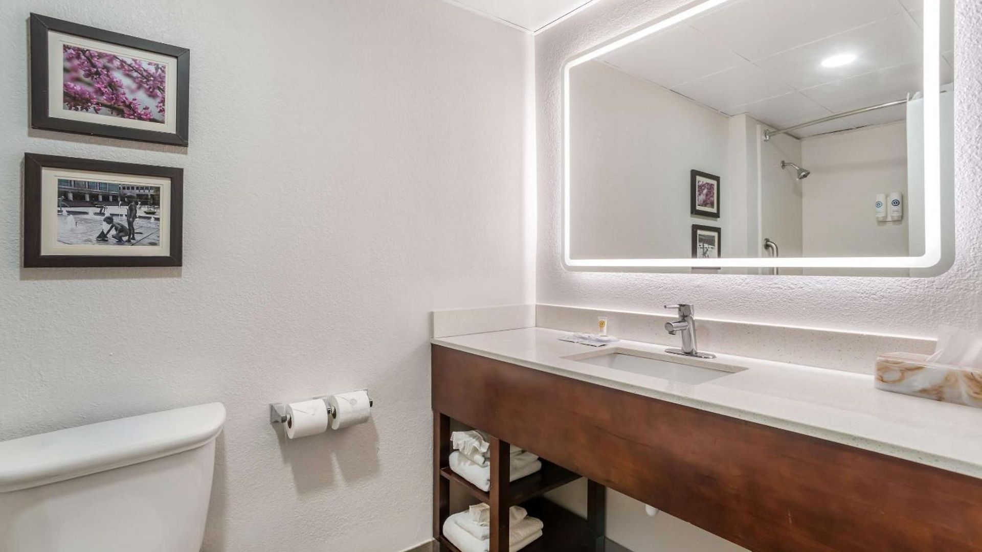 Comfort Airport Uptown Inn Charlotte