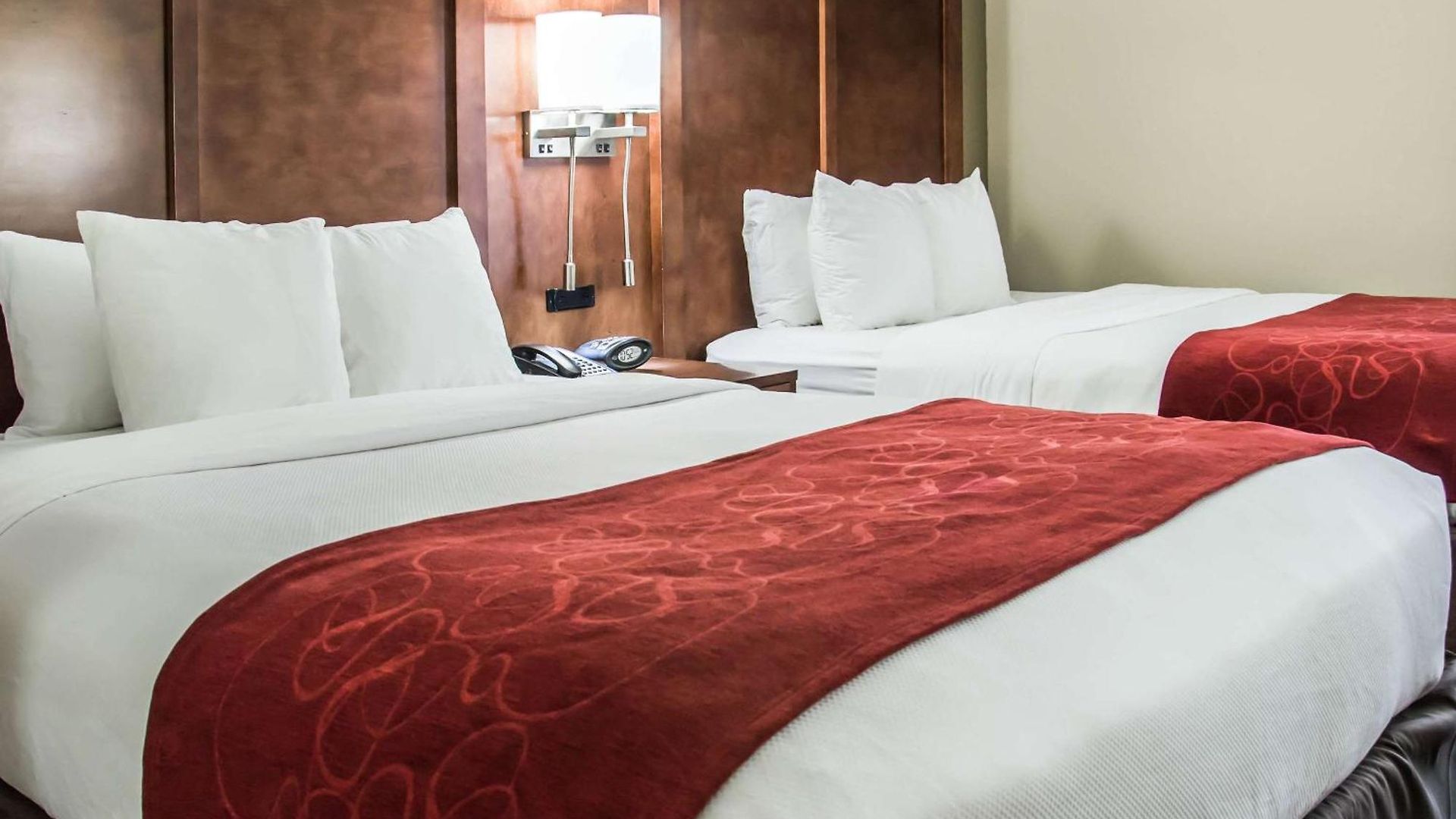 Hotel Comfort - Research Park Charlotte