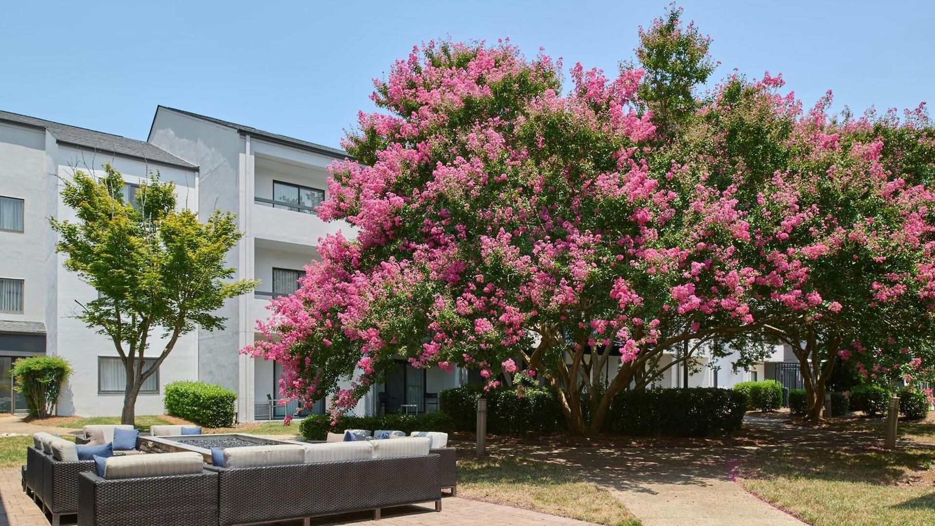 Courtyard Arrowood Hotel Charlotte