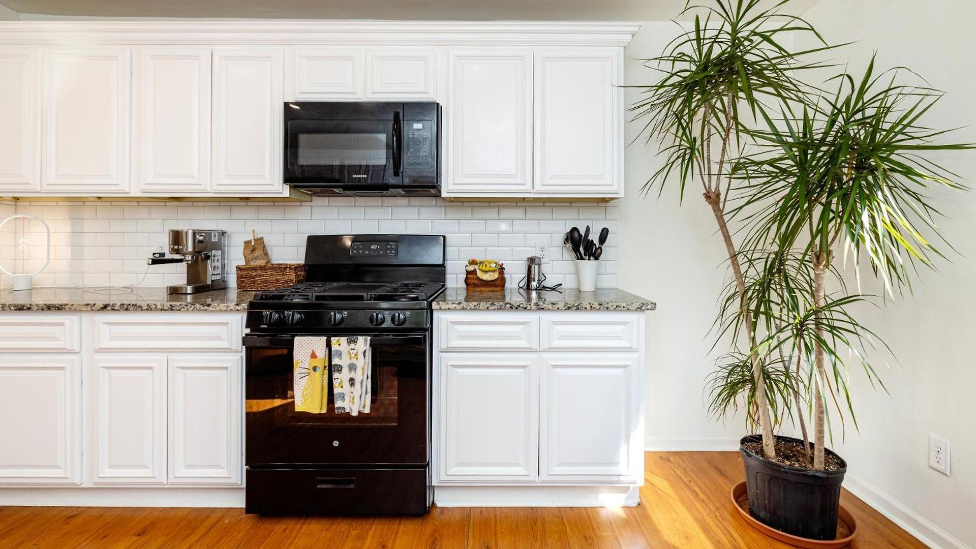 Trendy Bohemian Bungalow, Close To Uptown, Plaza & Noda *