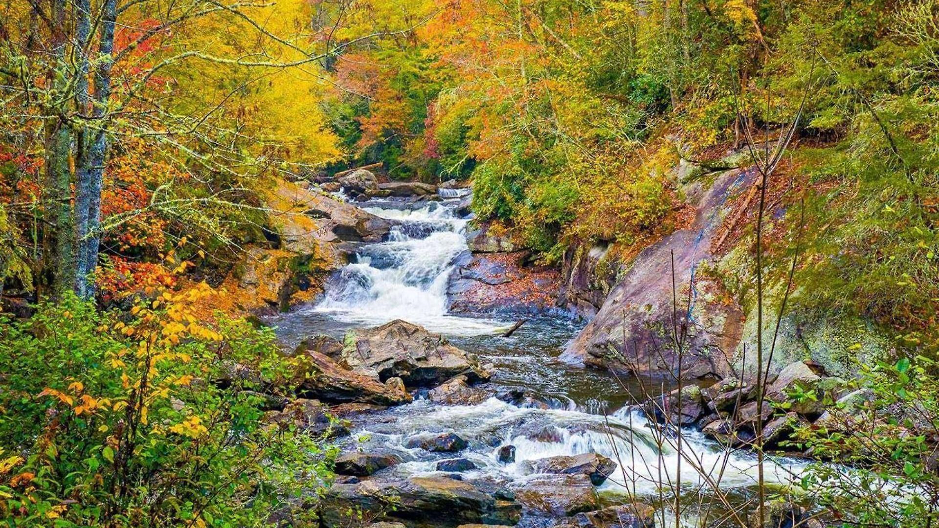 River's Edge