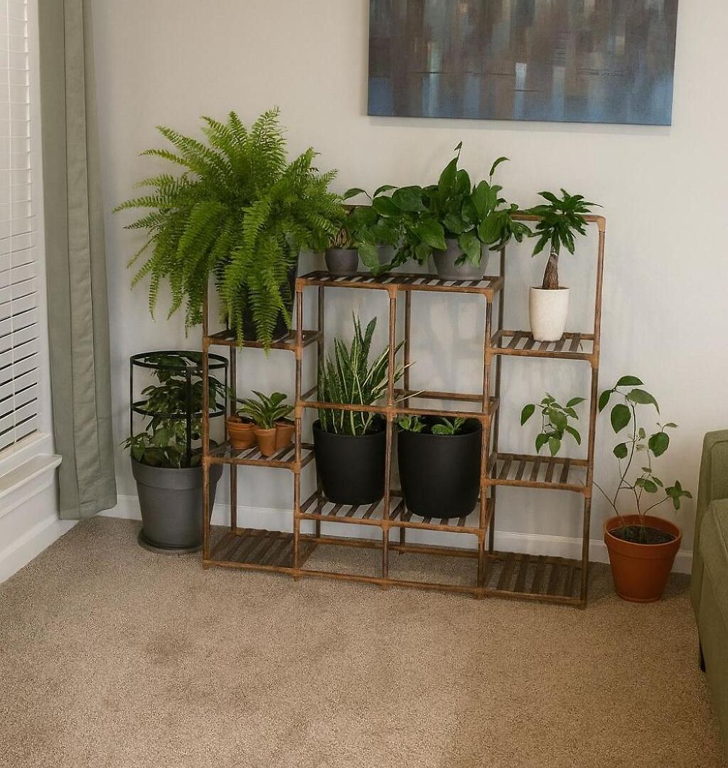 Matthews Oasis