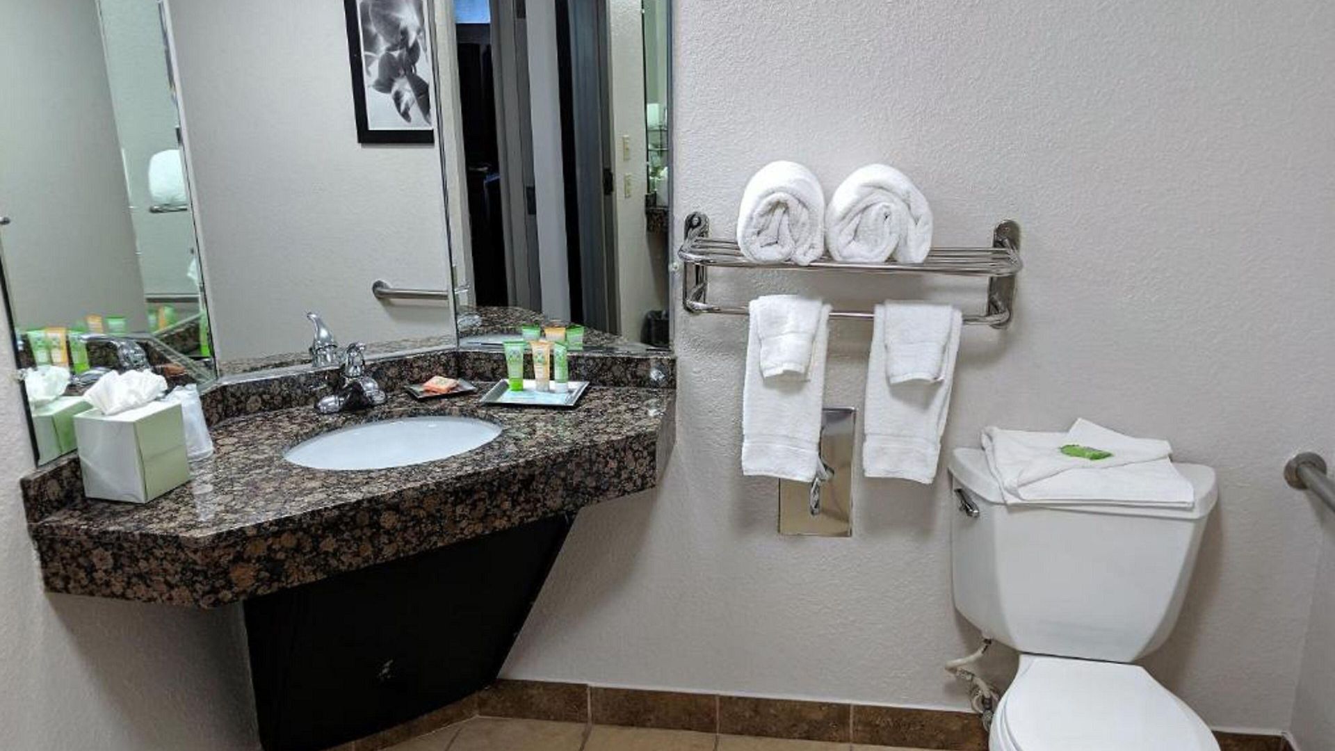 Hotel Wyndham Garden Airport Southeast Charlotte
