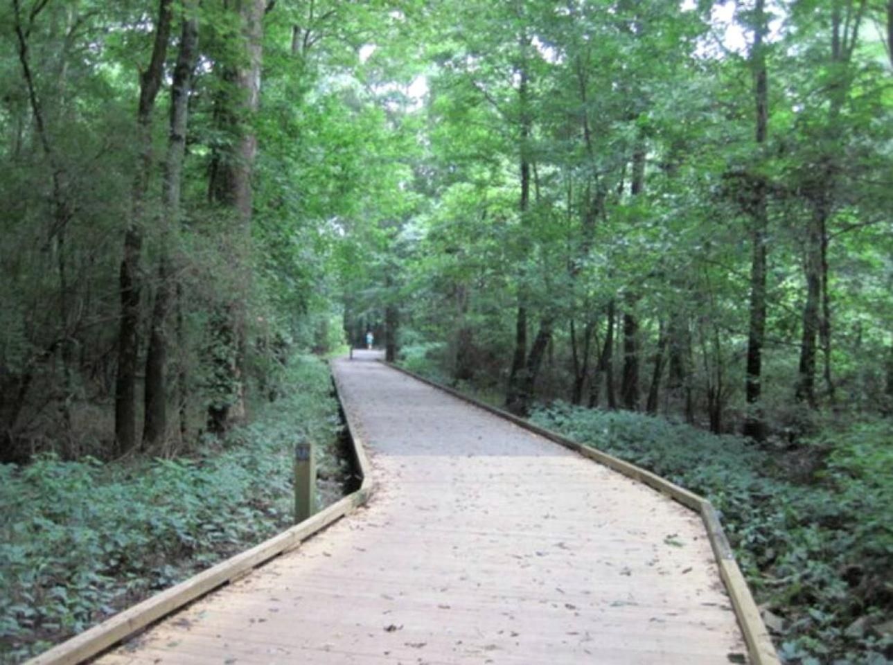 Disconnect At With Great Surroundings In Charlotte, North Carolina * Charlotte