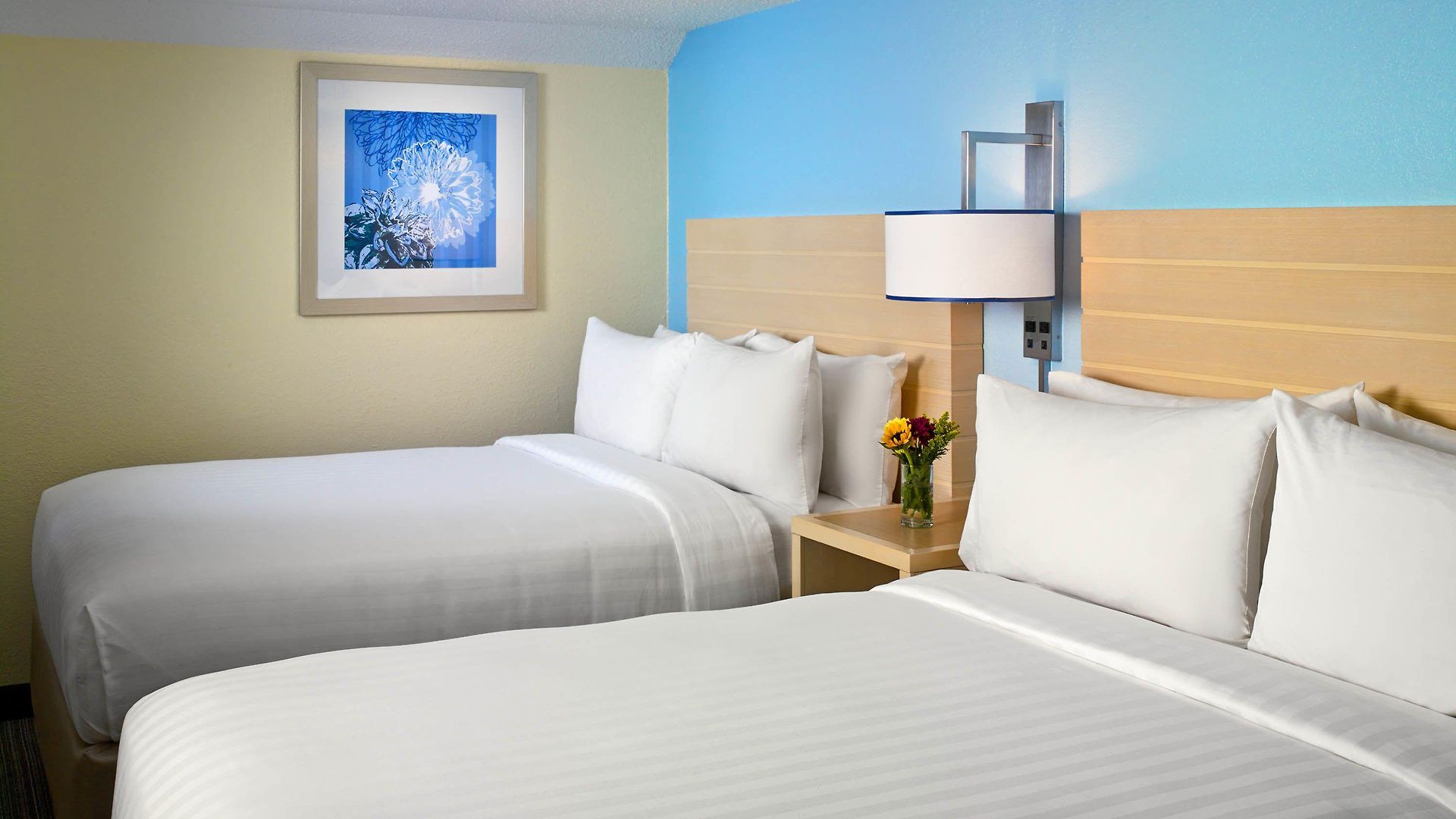 Sonesta Es Arrowood 3* Charlotte