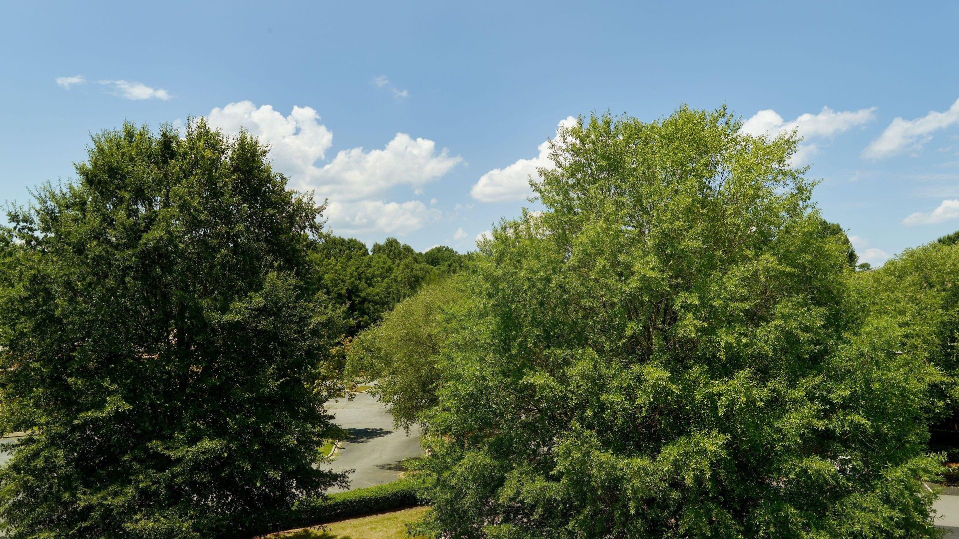 Springhill Research Park 2* Charlotte