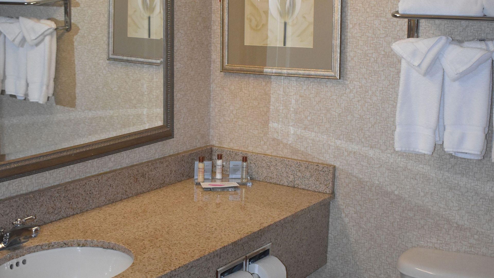 Wingate By Wyndham Airport Charlotte