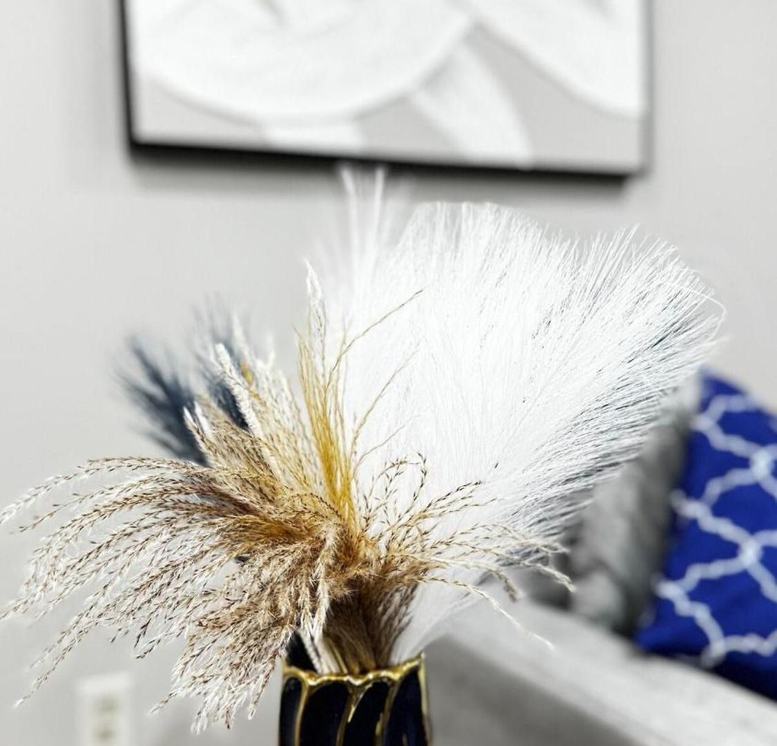 Apartment Lavish Escape Charlotte