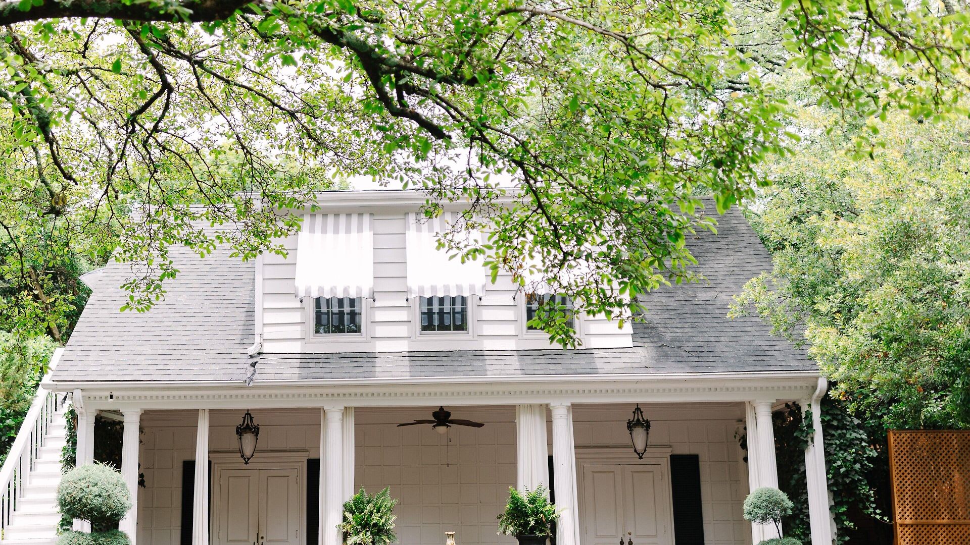 Bed & Breakfast The Morehead