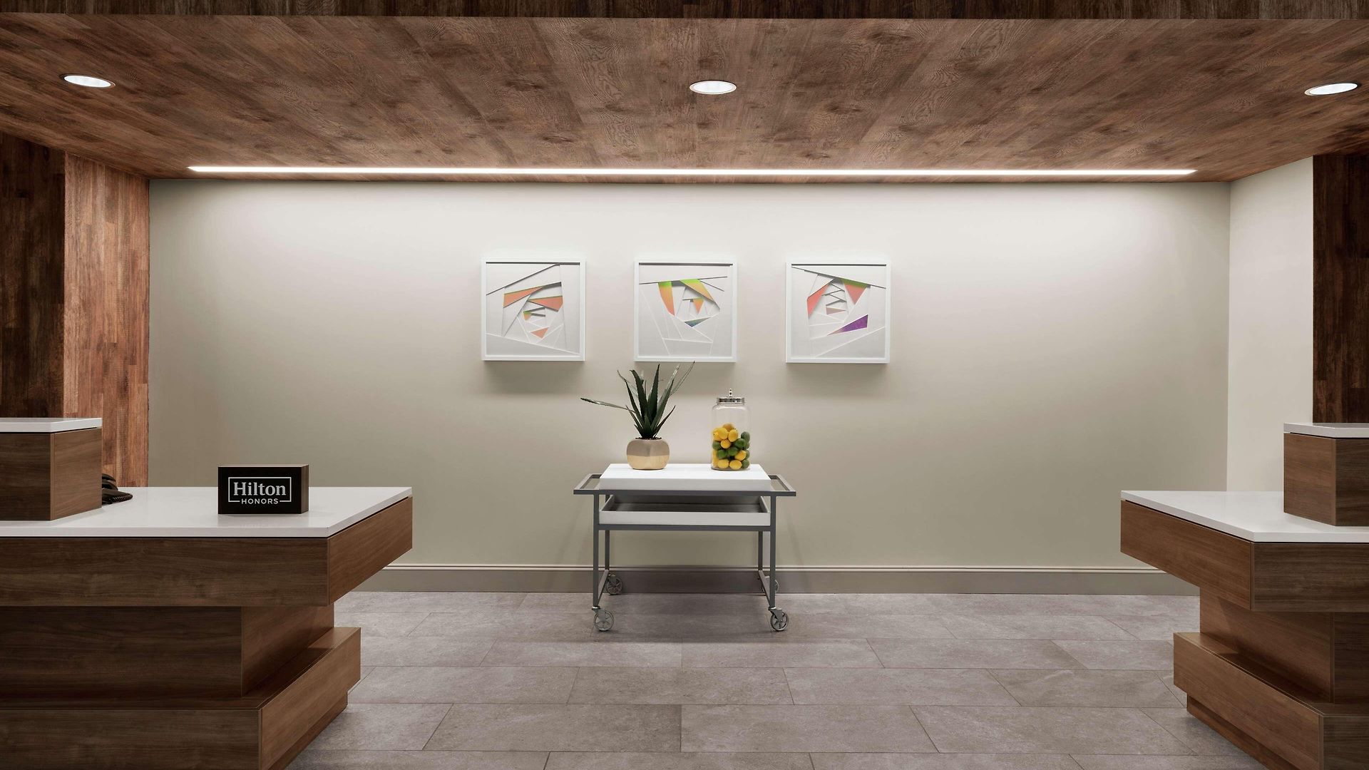 Hilton Garden Charlotte/ayrsley Hotel Charlotte