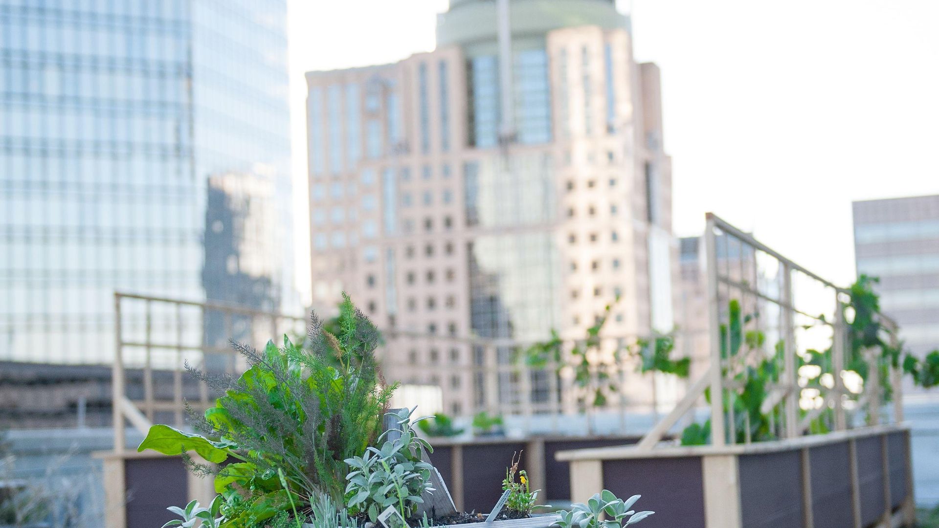 The Ritz-carlton, Hotel Charlotte