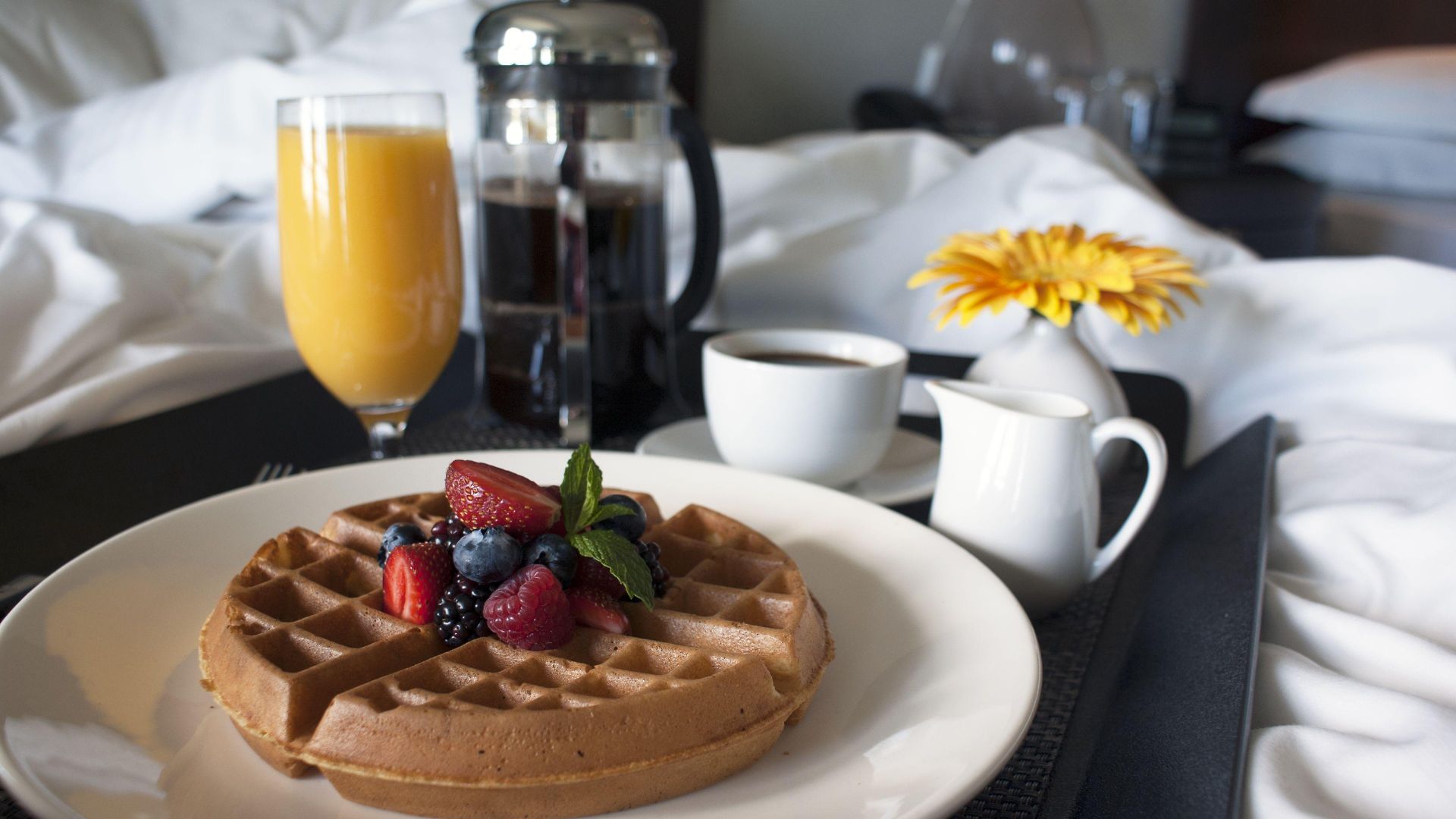 The Ritz-carlton,