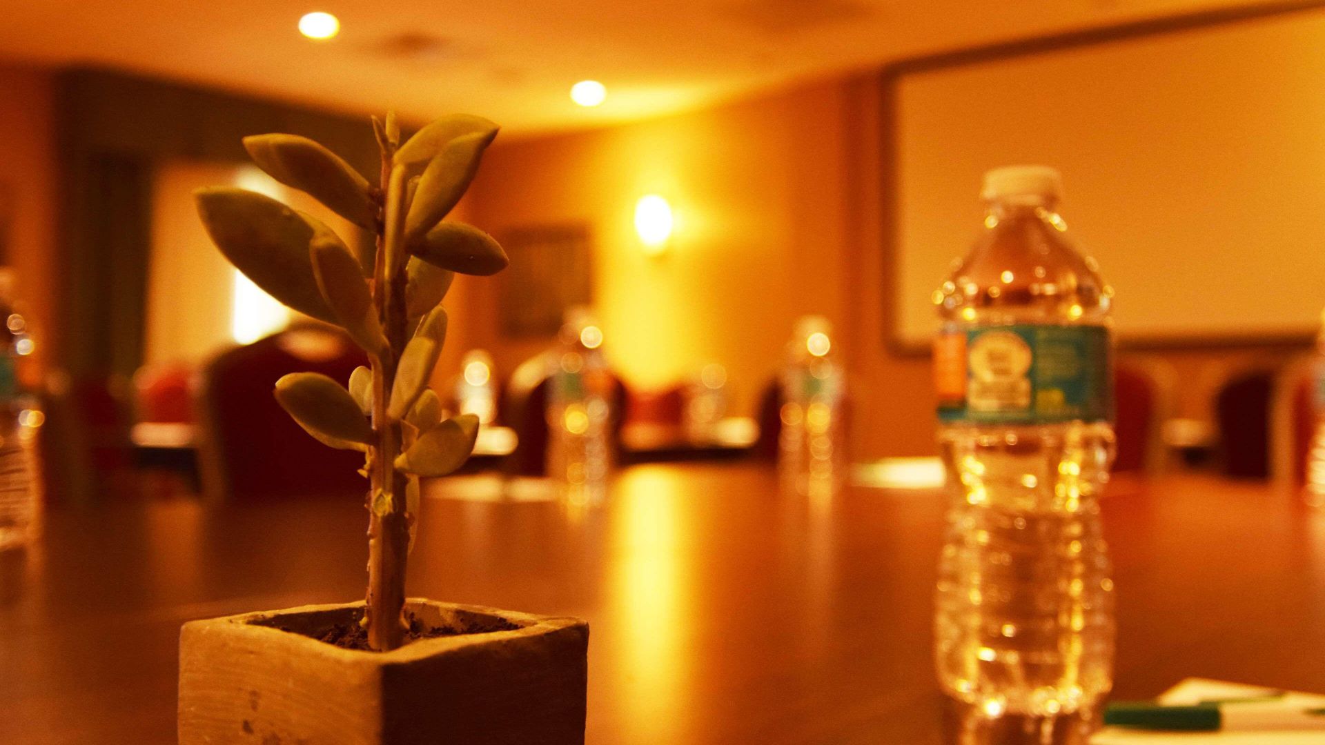 Hotel Homewood By Hilton Ballantyne, Nc