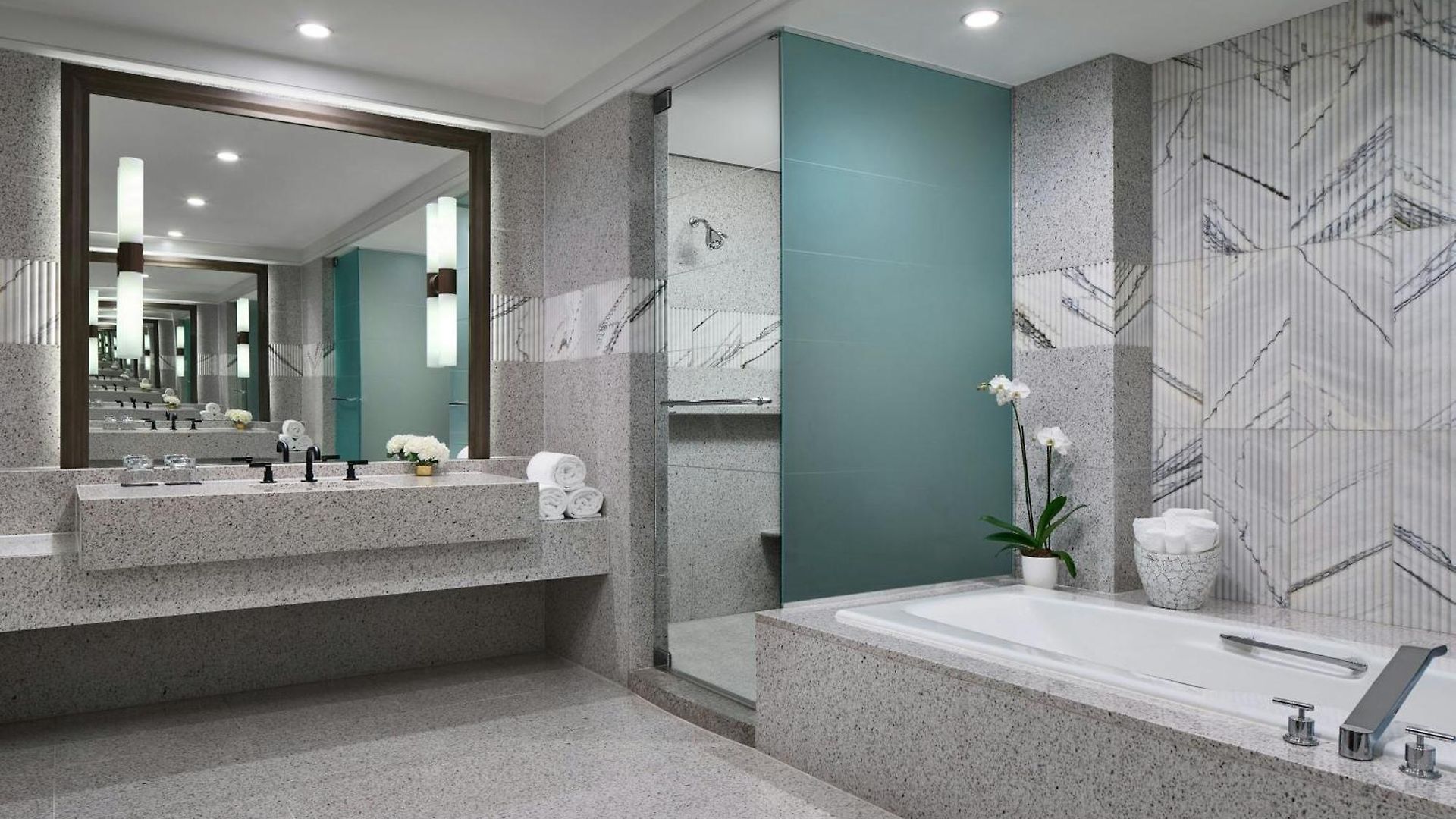 The Ritz-carlton,