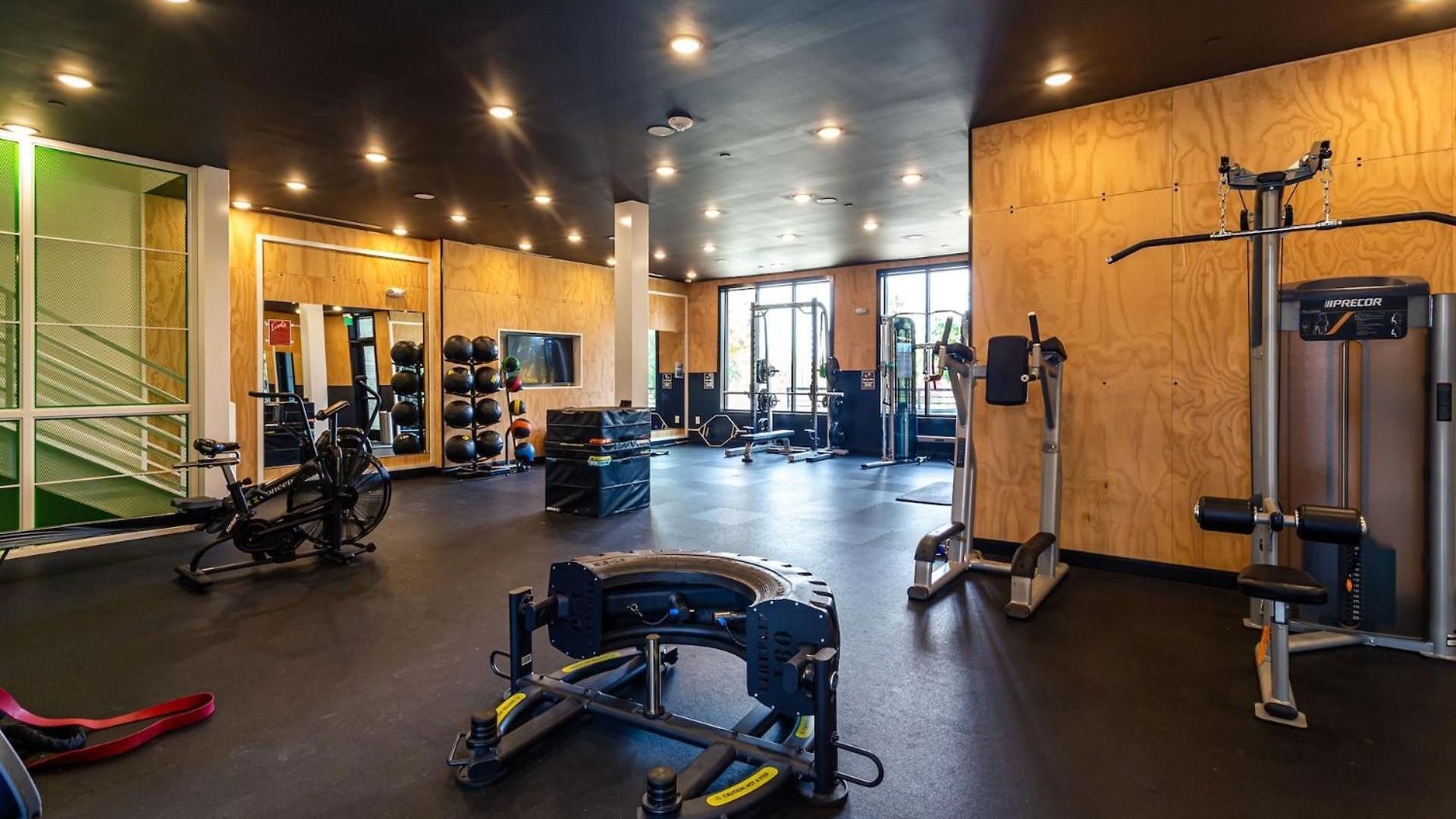 Kasa Freemorewest Charlotte