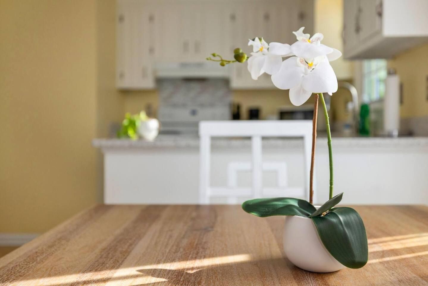 New! Special Intro Rates! Lovely 2 Bedroom * Charlotte