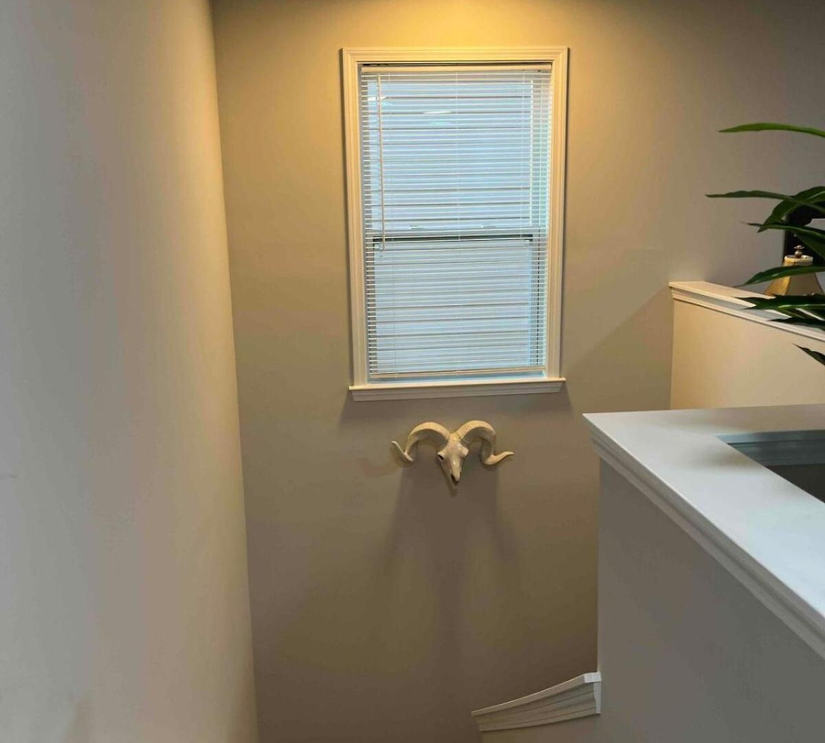 Spacious 4 Bedroom House In Area Close To Pnc Pavilion
