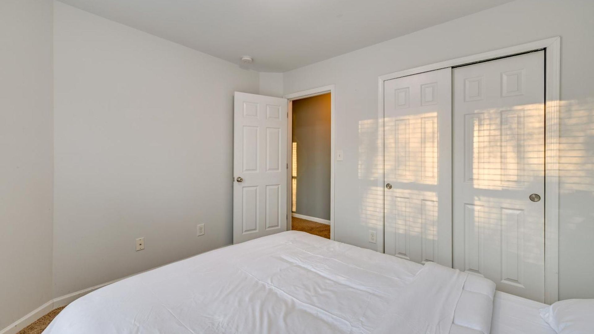 Pet-friendly Just Outside Downtown Charlotte! Charlotte