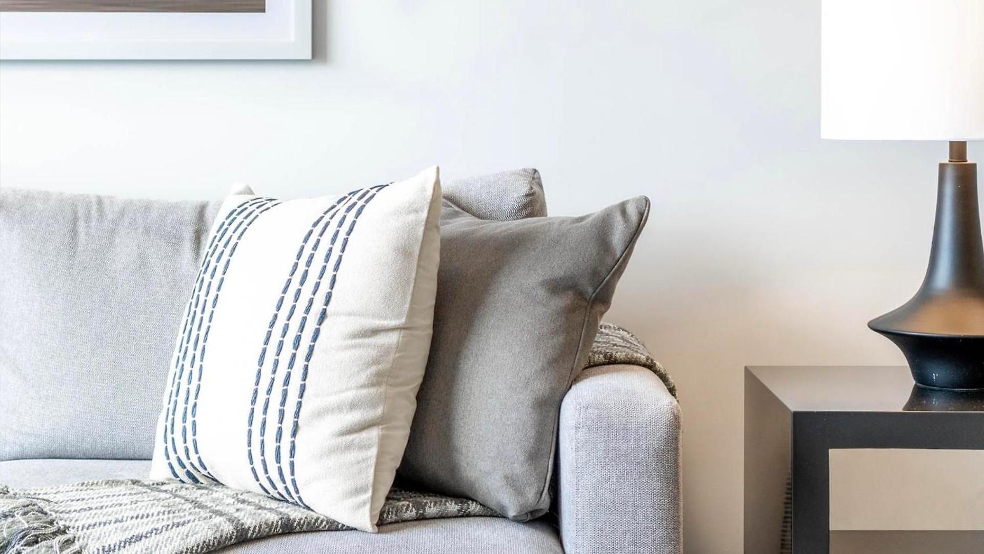 Landing - Zora Apartment Charlotte
