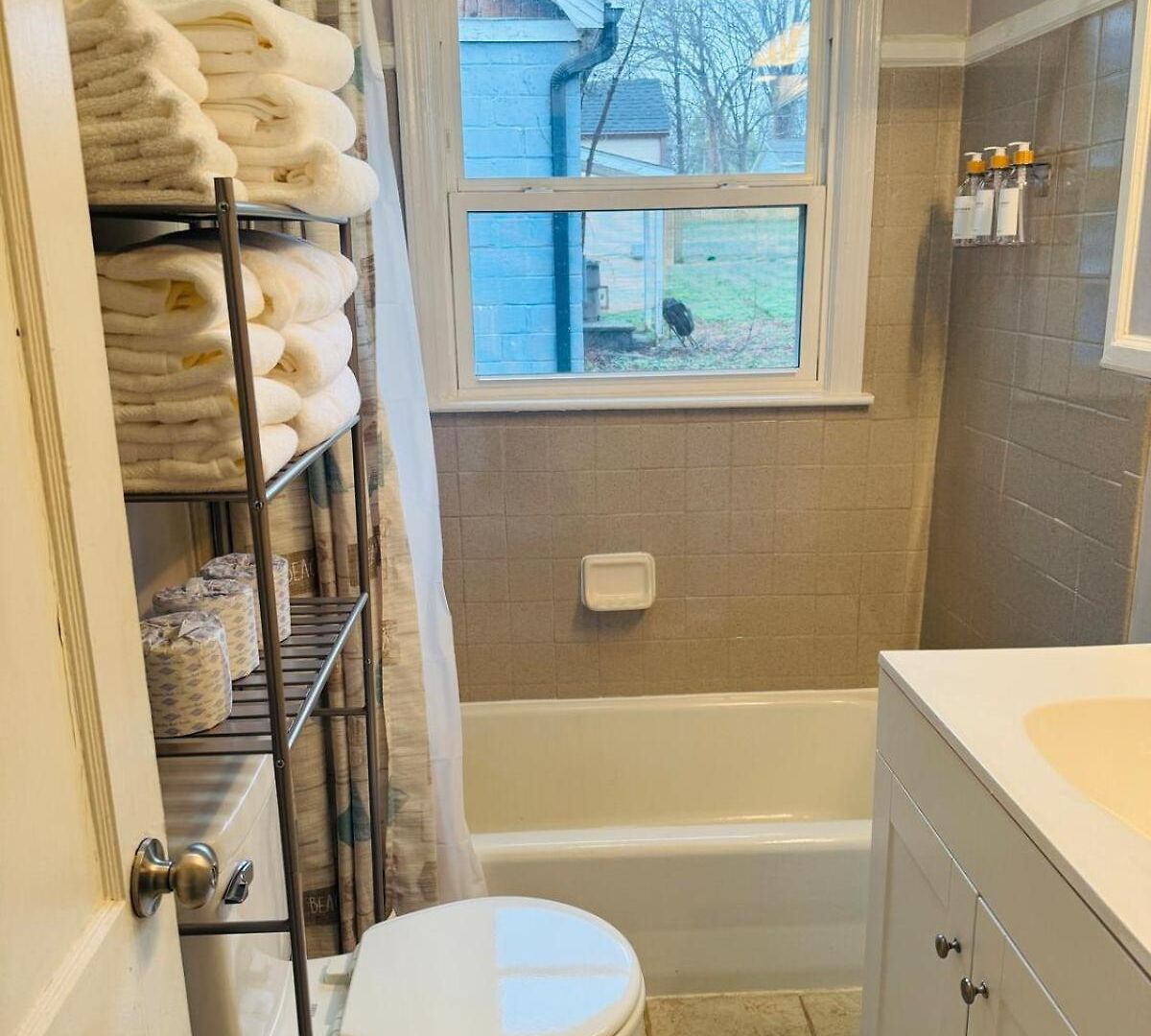 Cozy 1 Bedroom * Charlotte