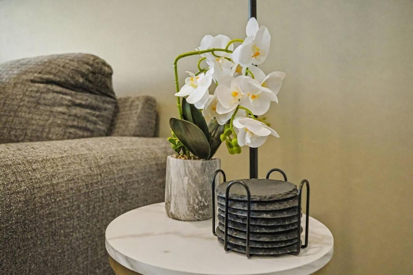 Queen Breeze - Parking, Pool, Walkable * Charlotte